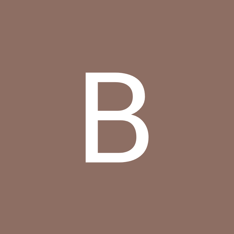 Photo of Brady B