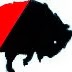 Photo of Jim Macdonald