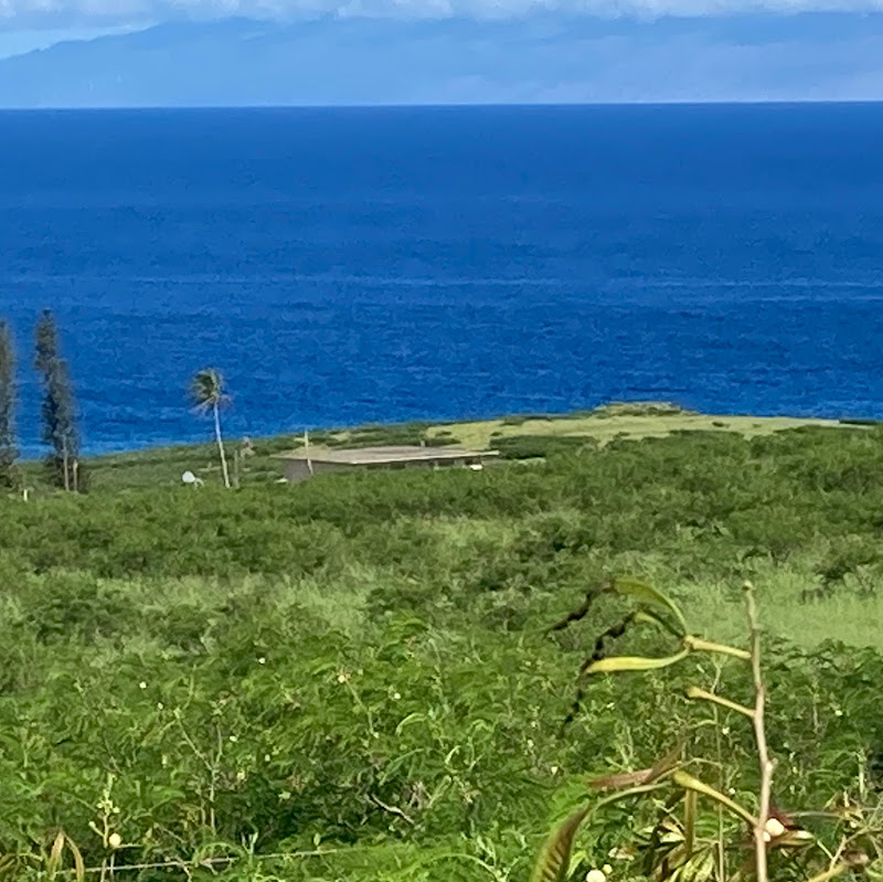 Photo of Miu Lan Paalua