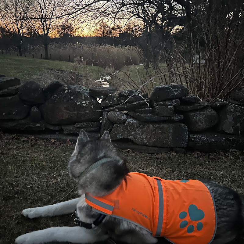 Photo of CTadventuresandeats