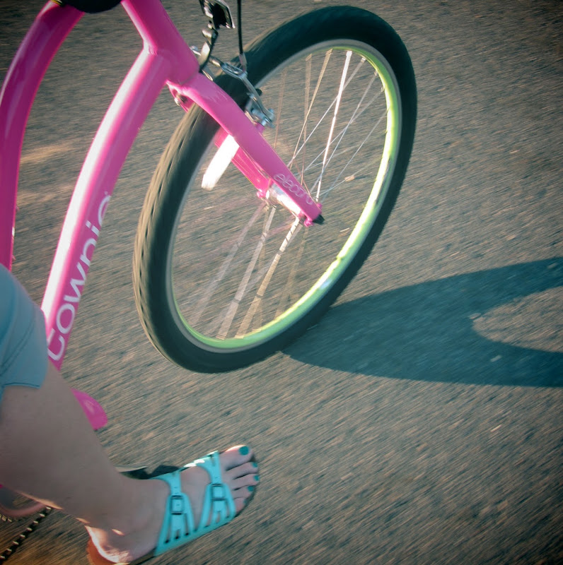 Photo of Stacy Collingham